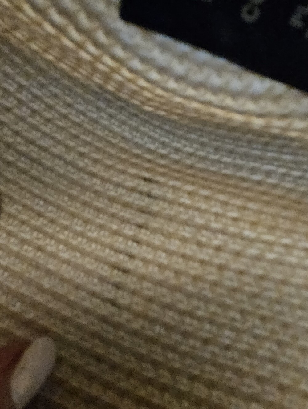 Eric Javits Cream Straw Trilby with Black Band - Picture 3 of 4